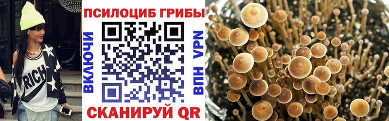 дарк нет состав  Новотроицк  Галлюциногенные грибы прущие грибы 