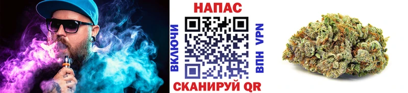 Конопля план  Новотроицк 